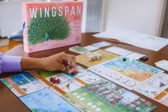 Wingspan - Asia Expansion - Engelsk (2)