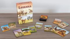 Ecosystem: Savanna (2)