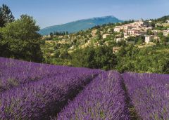Provence, Aurel - 500 brikker (2)