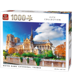 Notre Dame Cathedral, France 1000 brikker (1)