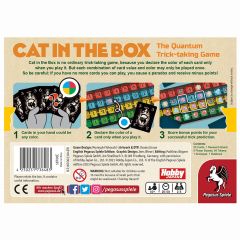 Cat in a box (2)