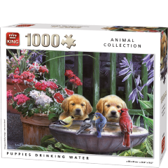 Puppies Drinking Water - 1000 brikker (1)