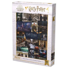 Harry Potter og hemmelighedernes kammer - 1000 brikker (1)