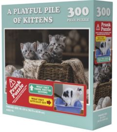 A Playful Piile of Kittens - 300 brikker (1)