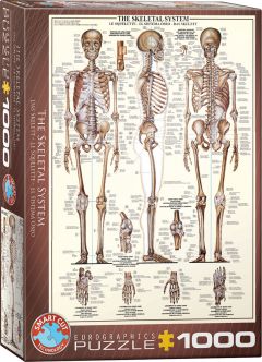 Kroppen: Skelet - 1000 brikker (1)