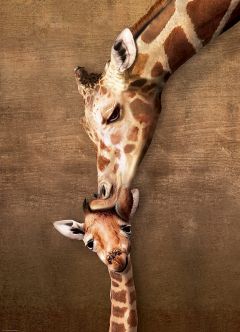 Girafmors kys - 1000 brikker (2)