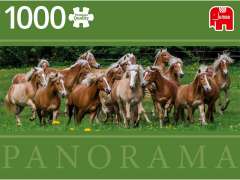 Halfinger Horses - Panorama - 1000 brikker (2)
