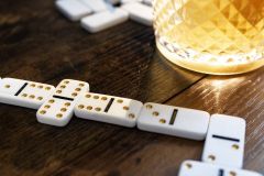 Domino - Rejseudgave (2)