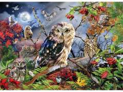 Owls in the Moonlight - 1000 brikker (2)