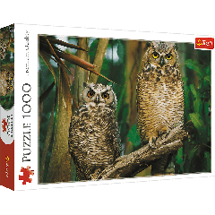 Owls - 1000 Brikker (1)